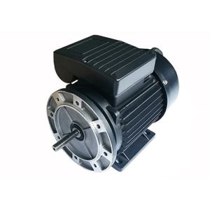 0.25HP 0.18KW IP54 2 Poles Aluminium Asynchronous Motor