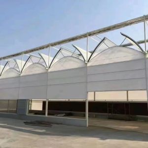 Large Aquaculture Tomato Cucumber Strawberry Hydroponics Greenhouse with High