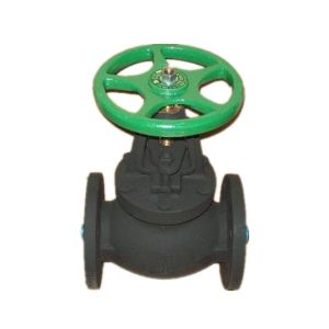 BS globe valve