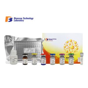 Quality Catechol - O - Methyltransferase Porcine ELISA Kit 96 Wells With High Sensitivity for sale