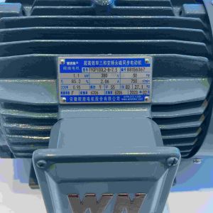 Variable Speed Electric Motor With ROHS For Air Compressors Or Boosters