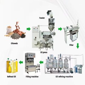 Commercial Cold Press Cooking Oil Extraction Machine Seed Oil Pressing for