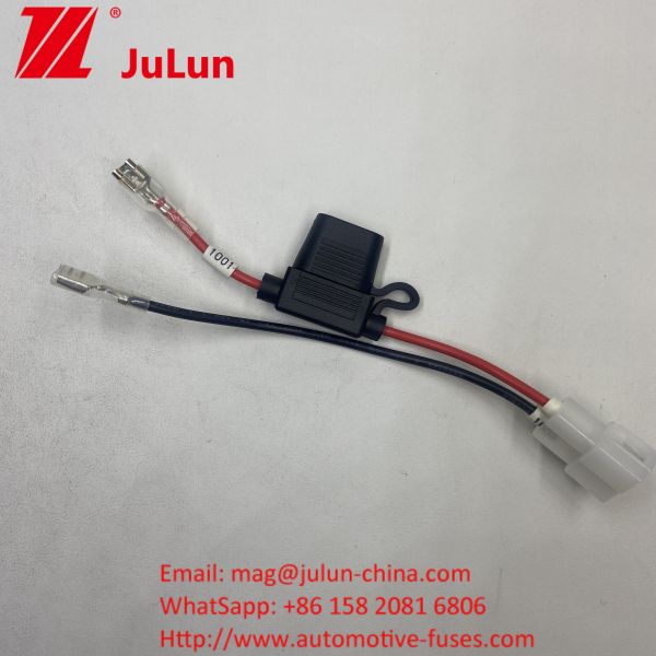 Buy 15A Fuse Holder Wire Harness with Automotive Electric Vehicle Wire Harness EV Wiring Assembly with Fuse Protection at wholesale prices
