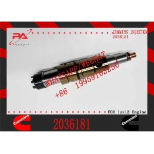OE quality New Diesel Common Rail Injector 2036181 574425 for S cania XPI DC09