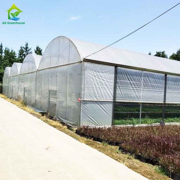 Buy Agricultural Commercial Industrial Plastic Film Greenhouse With Complete Systems at wholesale prices