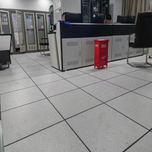 Overhead Raised Access Floor Antistatic Access Floor