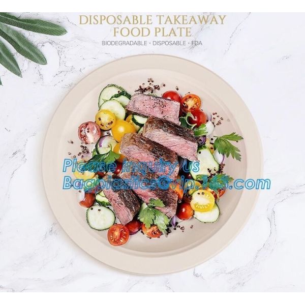 custom printed party plates disposable sugarcane bagasse plate Biodegradable