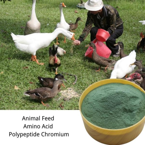 Protein Chelate Chromium Animal Feed Additive For Poultry Feed
