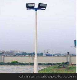 Painting Appearance Treatment 20 Feet Street Light Pole Durable Weather