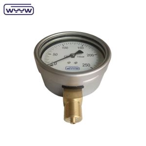 China factory capsule pressure gauge 100mm mbar ss case brass connection 1/2"bsp
