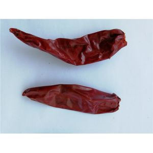 Quality Sweet Taste Hot Dried Jinta Chilli Pepper Strong Flavor for sale
