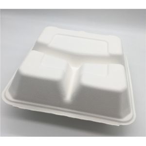 Quality Bento Petroleum Free 8''×8'' Biodegradable Take Out Boxes for sale