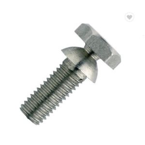 Grade 4.8/8.8 High Security Shear Bolt With Torque Type for Industry