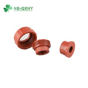 Customized Request Pn16 Red Brown Female Union Pph Water Pipe Plastic Pipe