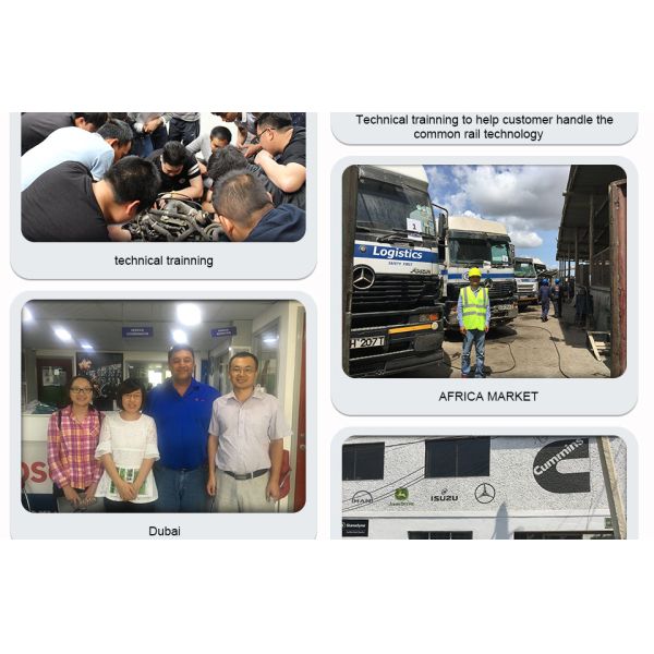 Genuine CR Shumatt Injector Valve plate 295040-6230 for diesel fuel engine