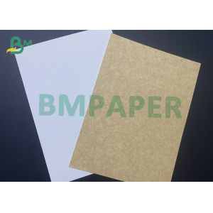 250gsm Coated Kraft Paper C1S One Side White One Side Kraft 889 X 650mm