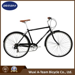 28" Steel City Bicycles
