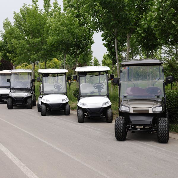 Low Speed Golf Cart Vehicle 4 Seater Lithium Bettery Free Shipping 4 Wheel Sell