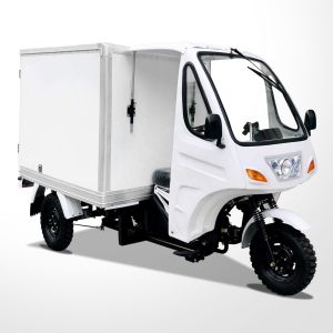 1 Passenger Petrol Motor Tricycle with 600KG Cargo Capacity and 60km/H Max Speed