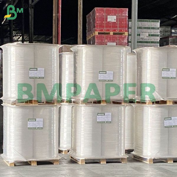 Buy Food Safe Water Resistant Biodegradable Straw Paper for Drinking at wholesale prices