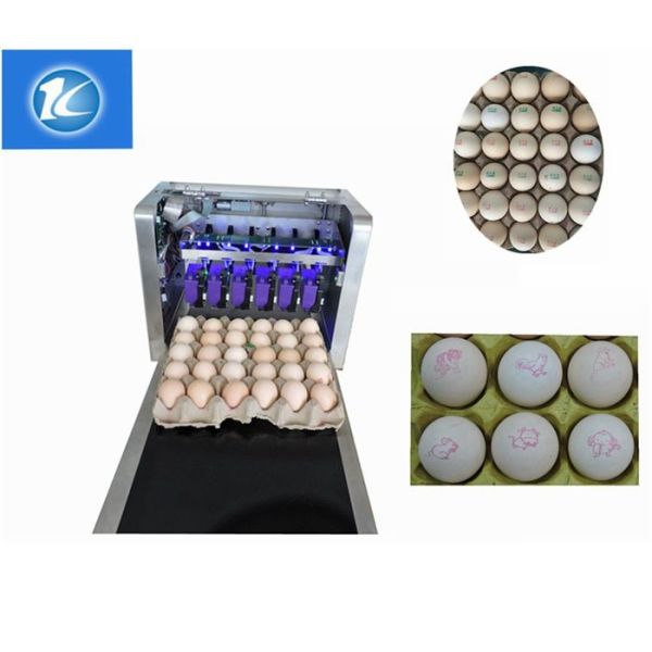 Automatic Egg Date Stamp Machine / Continuous Inkjet Printer For Food Industry