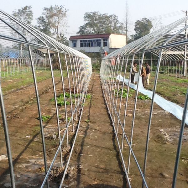 Galvanized Steel Frame Single Span PE Film Greenhouse For Flower Plant
