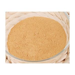 Manufacturer Supply Antioxidant Panax Ginseng Berry Extract With Free Sample