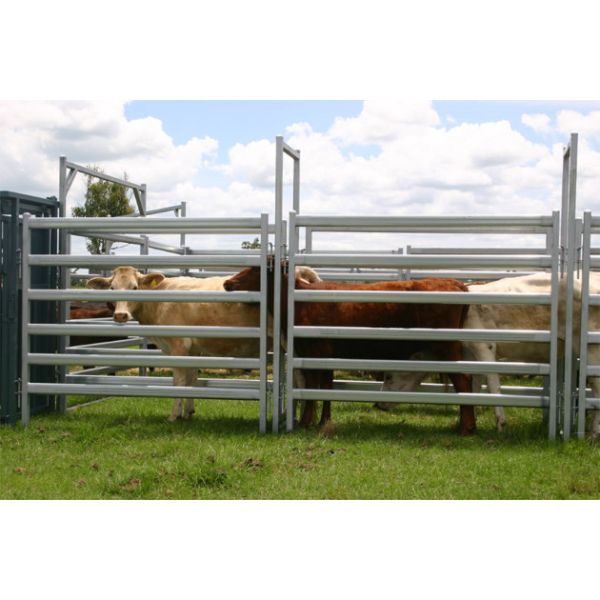 Buy Used Cattle Yards For Sale Cattle Yard Fence Heavy Duty 6 Oval 1.6mm thick 1.8Mx2.1M at wholesale prices