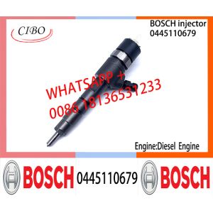 BOSCH 0445110463 0445110464 0445110577 0445110679 0445110576 Common Rail Fuel