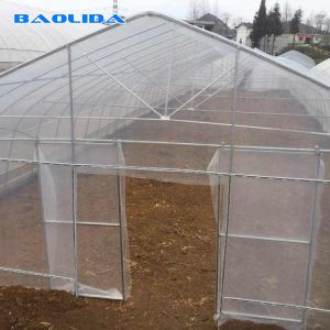 Hot Dip Galvanized Steel Plastic Film Greenhouse Grow Tent Size Customized
