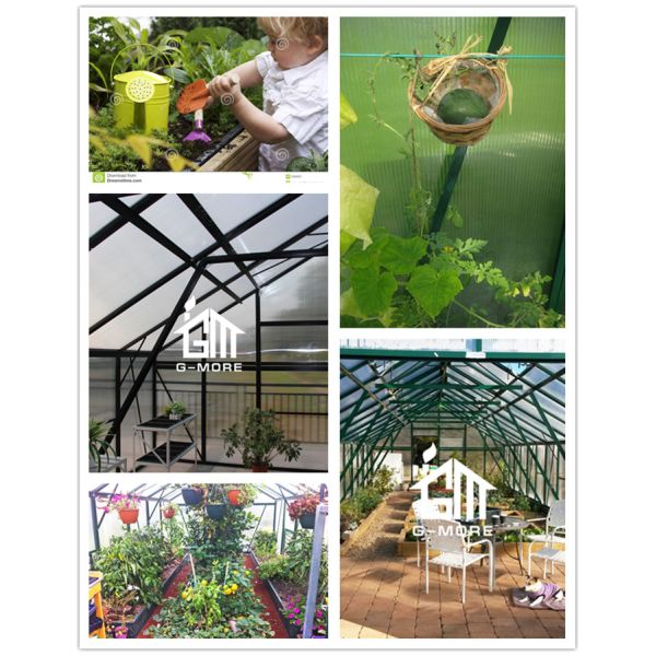 G-MORE Titan 5M width greenhouse internal.jpg