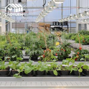 Quality 1.2mm Aluminum Greenhouse Benches Anodizing Load Capacity 100kg/M2 for sale