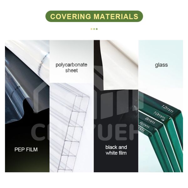 Mushroom Light Deprivation Greenhouse With Hot Dip Galvanized Steel Pipe