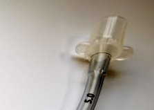 PVC 5.0mm Nasal Endotracheal Tube Nasal Rae Tracheal Tube Cuffed