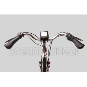250W 36V Urban City Electric Bike 7.8Ah Samsung Cells
