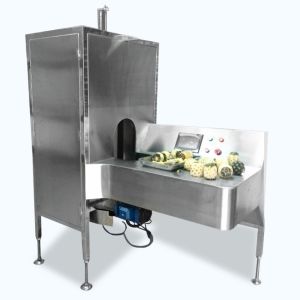 304 Stainless Steel Fruit And Vegetable Processing Machine English Operation