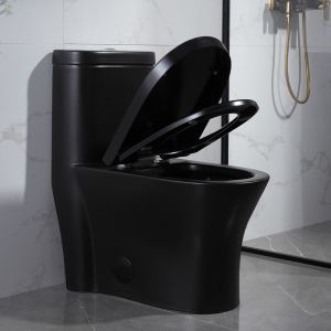 300mm Siphonic One Piece Toilet American Standard Black Porcelain