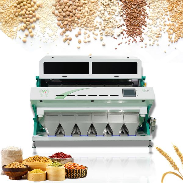 High Sorting Accuracy Coffee Grain Color Sorter Machine Rice Plastic Nut Sorting
