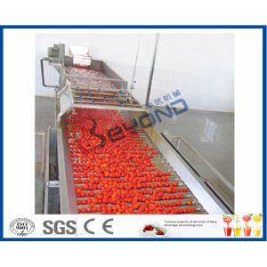 Fruit Processing Tomato Juicer Machine , Electric Tomato Juicer Process Plant