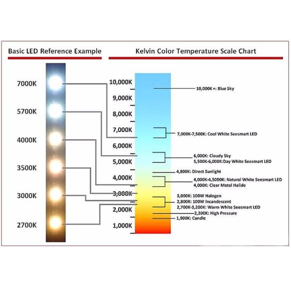 5000mm 600 Led Ribbon Strip 2 Row SMD5050 Rgbw Led Tape