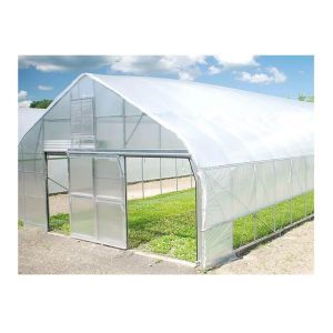 Tomato Plant Hydroponic Good Weather Resistance Agricultural Greenhouse