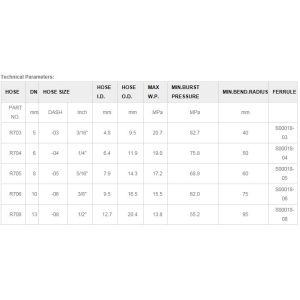 Two Polyester Braid Hose (SAE 100R7-EN855 R7)