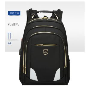 Man Laptop Big Travel Backpack , Water Resistant Multi Pocket Backpack