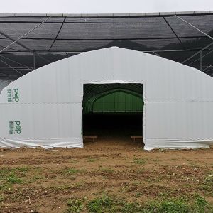 Off Season Tunnel Plastic Film Greenhouse Mushroom Greenhouse