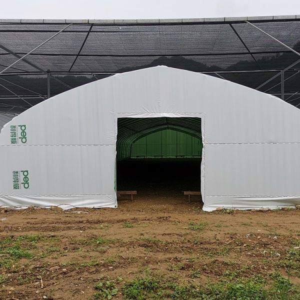 Buy Off Season Tunnel Plastic Film Greenhouse Mushroom Greenhouse at wholesale prices