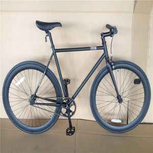 60cm Steel Frame Fixie Fixed Gear Bike Promax Double V Brake 700c Single Speed
