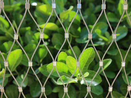 There is a stainless steel ferrules wire rope mesh.