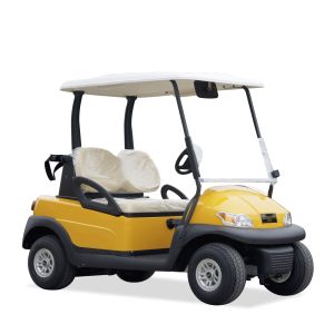 Excar Dual-Seat Electric Golf Cart 48V Lithium Battery