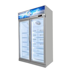 5 Adjustable Shelf R134 Vertical Display Freezer Commercial Upright Fridge