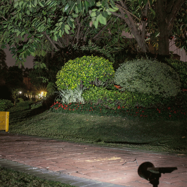Spotlight garden effect